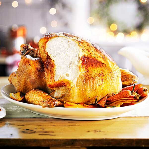 Bronze Turkey